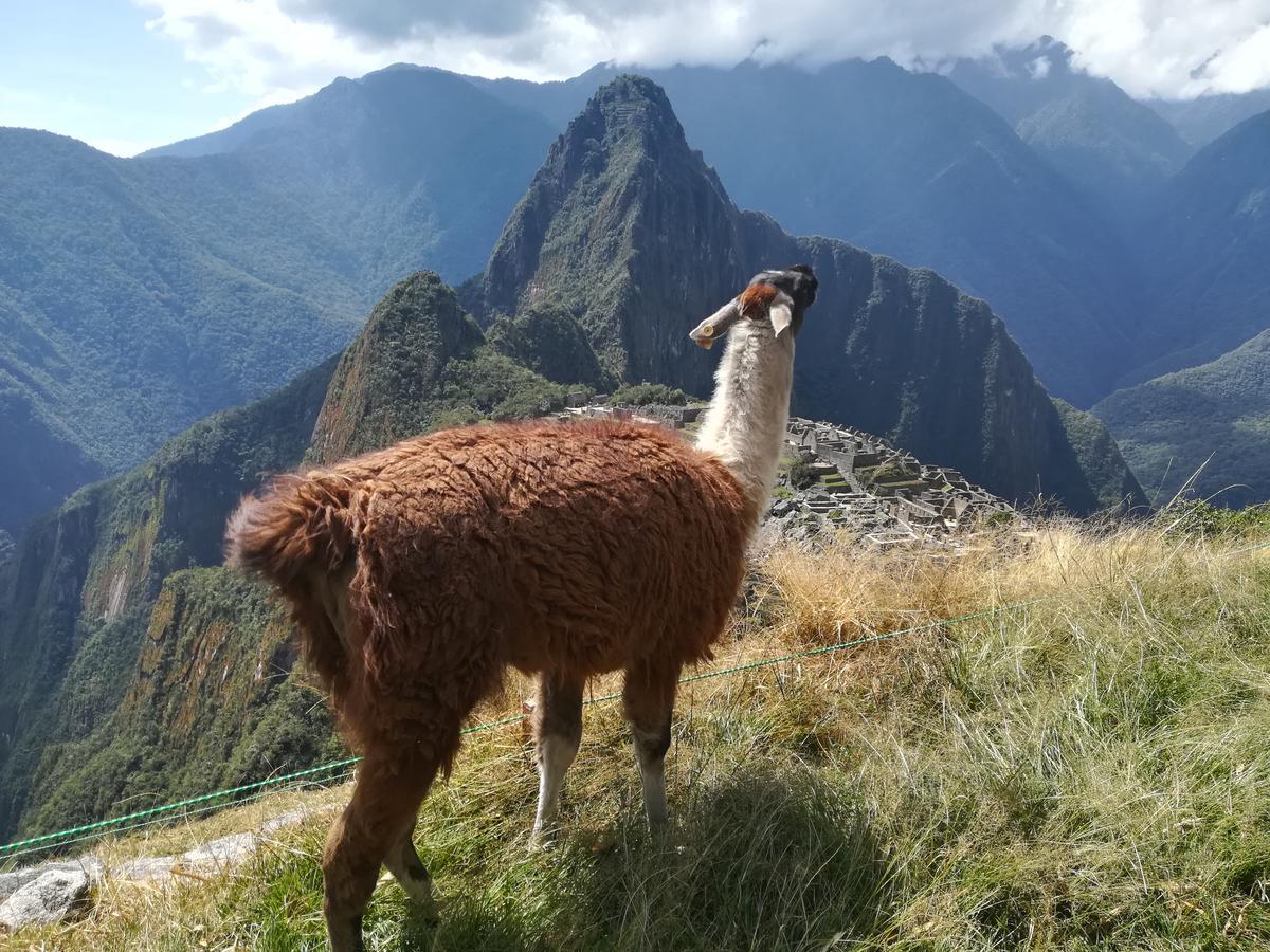 Hotel Golden Sunrise Machupicchu Extérieur photo